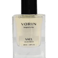 vael_2_-removebg-preview